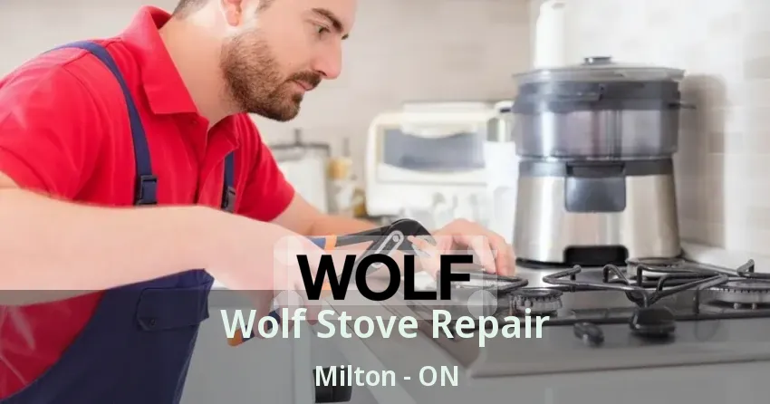 Wolf Stove Repair Milton - ON