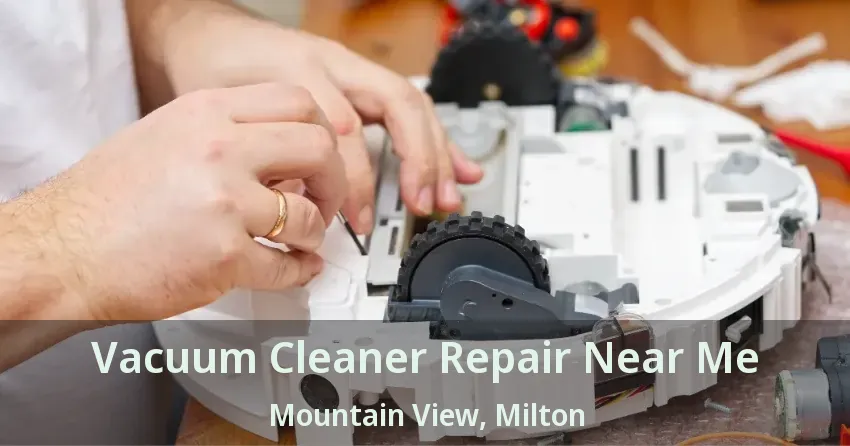 Vacuum Cleaner Repair Near Me Mountain View, Milton - ON