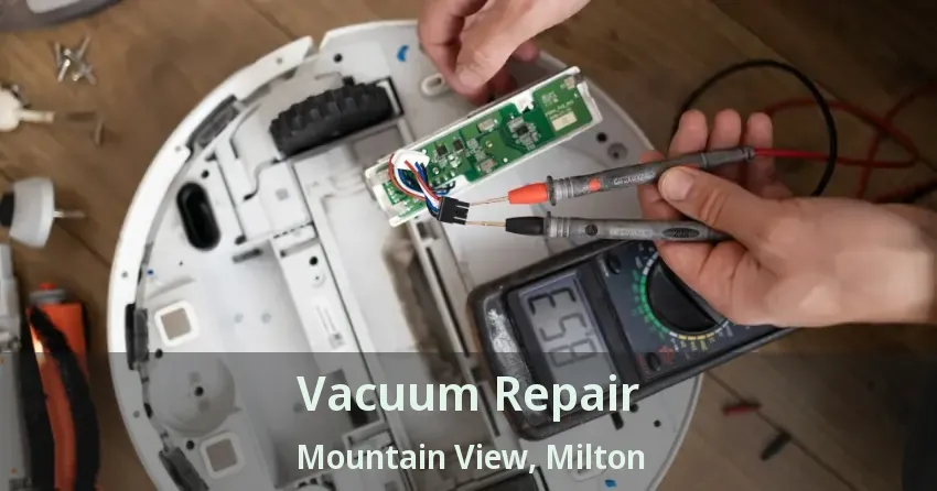 Vacuum Repair Mountain View, Milton - ON