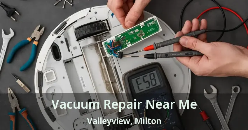Vacuum Repair Near Me Valleyview, Milton - ON