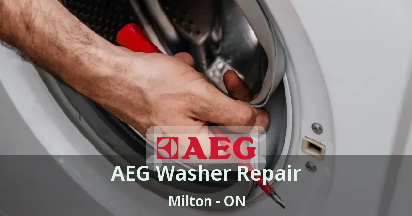 AEG Washer Repair Milton - ON