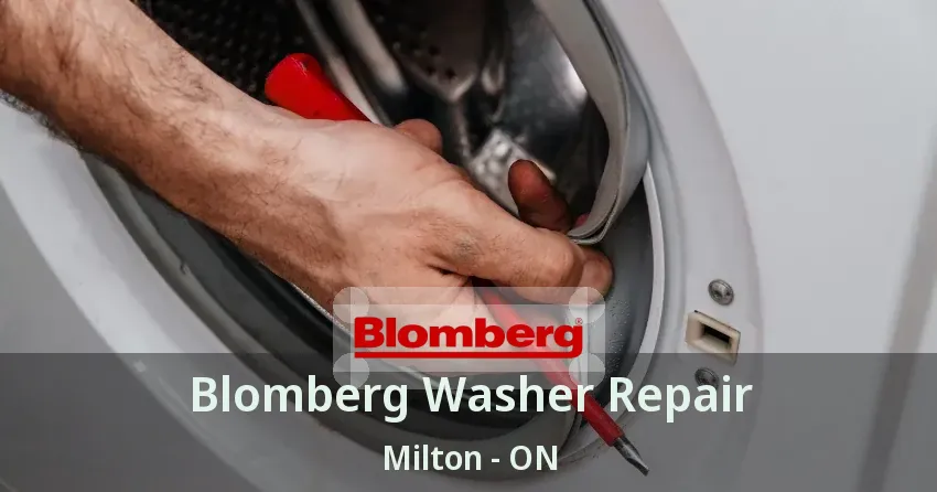 Blomberg Washer Repair Milton - ON