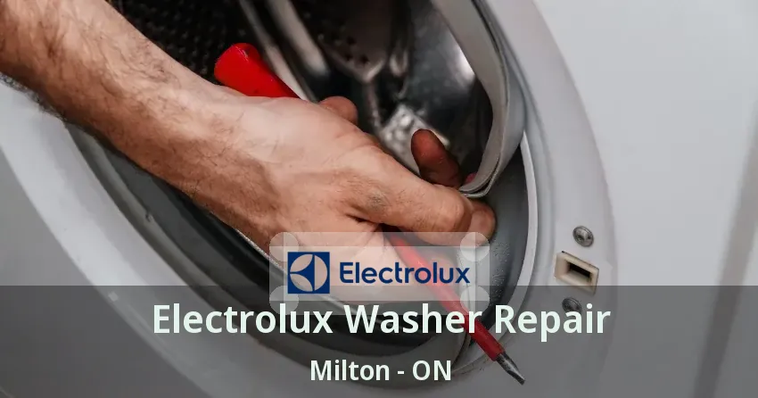 Electrolux Washer Repair Milton - ON
