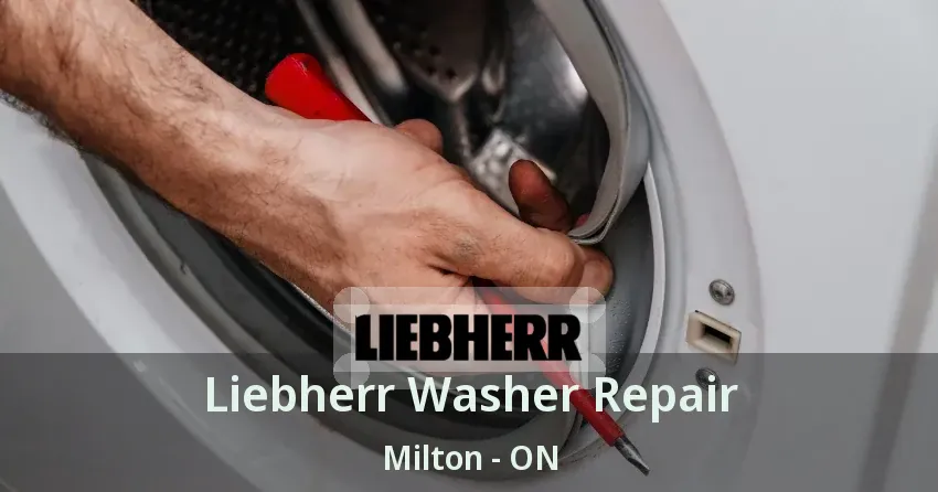 Liebherr Washer Repair Milton - ON