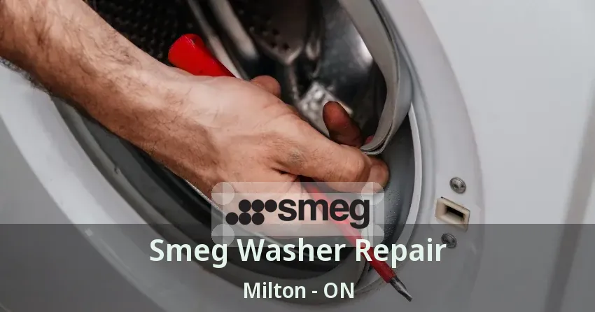 Smeg Washer Repair Milton - ON
