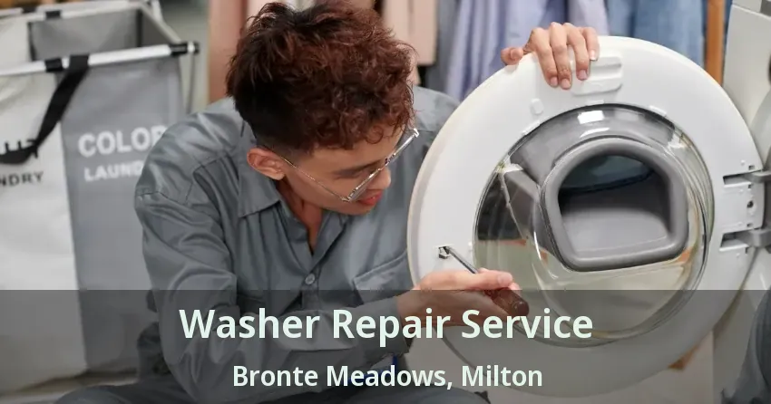 Washer Repair Service Bronte Meadows, Milton - ON