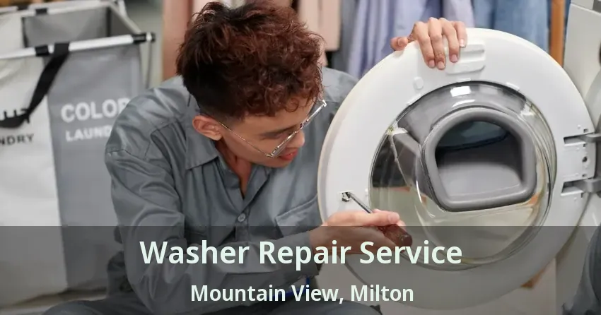 Washer Repair Service Mountain View, Milton - ON