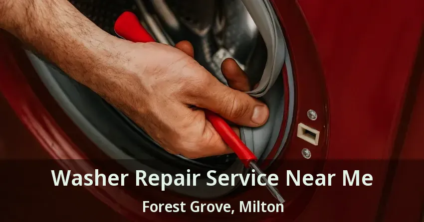 Washer Repair Service Near Me Forest Grove, Milton - ON
