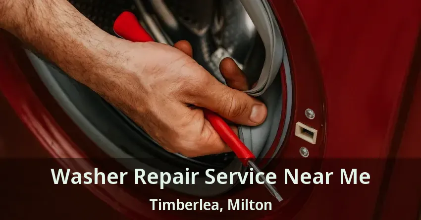 Washer Repair Service Near Me Timberlea, Milton - ON