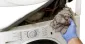 Fisher & Paykels Dryer Repair in Milton